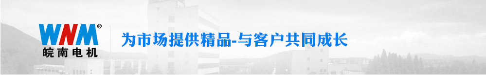 皖南電機 為市場提供精品